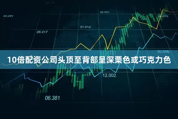 10倍配资公司头顶至背部呈深栗色或巧克力色