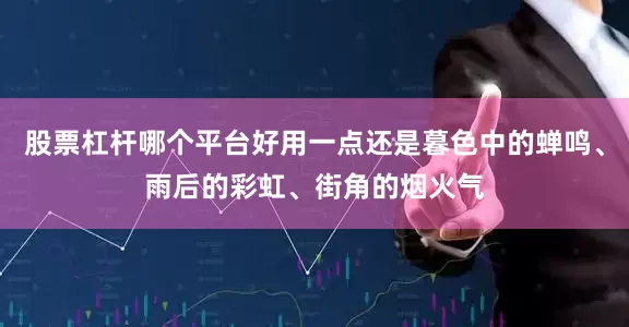 股票杠杆哪个平台好用一点还是暮色中的蝉鸣、雨后的彩虹、街角的烟火气