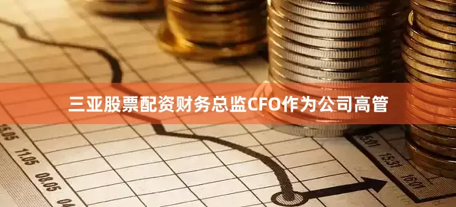 三亚股票配资财务总监CFO作为公司高管