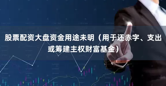 股票配资大盘资金用途未明（用于还赤字、支出或筹建主权财富基金）